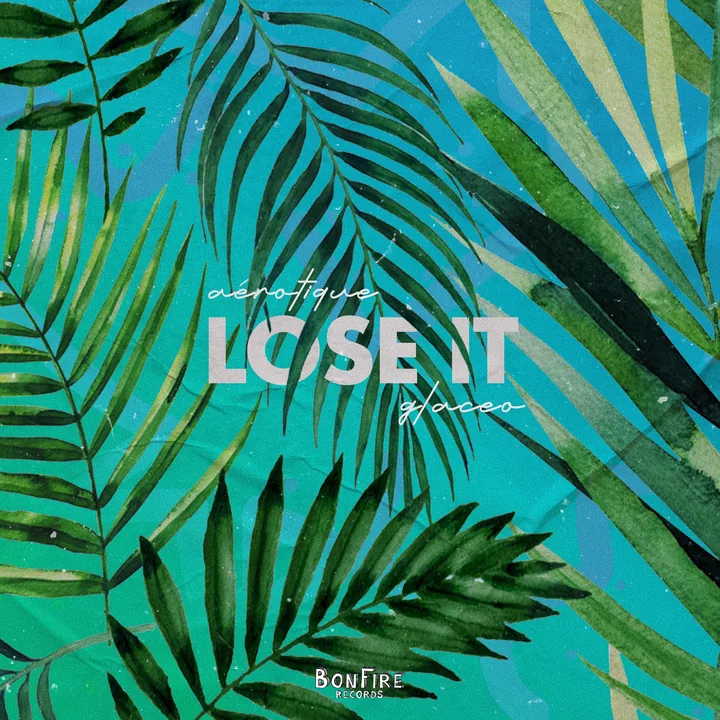 Lose It cover artwork