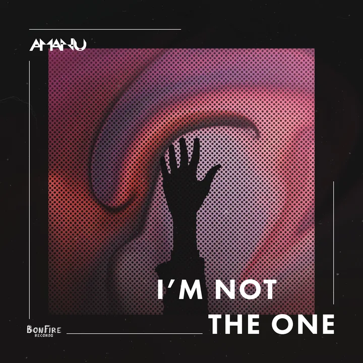 I'm Not the One cover artwork