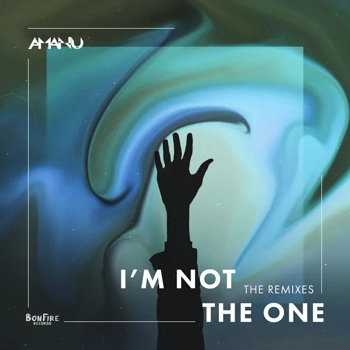 I'm Not the One - The Remixes cover artwork