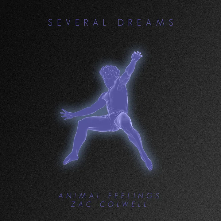 Several Dreams cover artwork