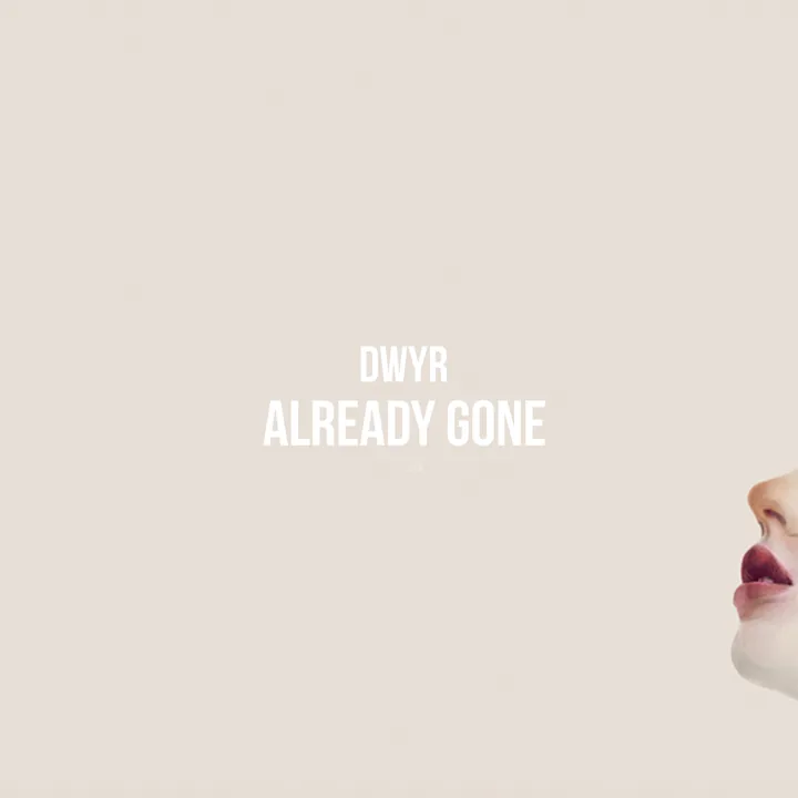 Already Gone cover artwork