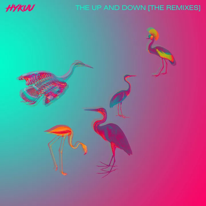 The Up and Down - The Remixes cover artwork
