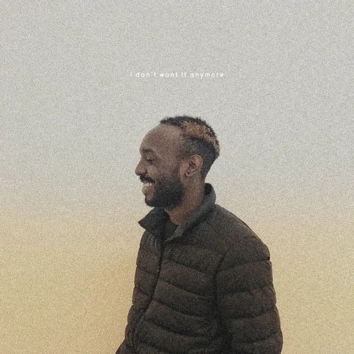 I Don't Want It Anymore cover artwork