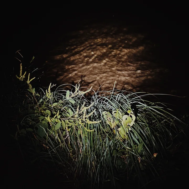 A Tide Apart cover artwork