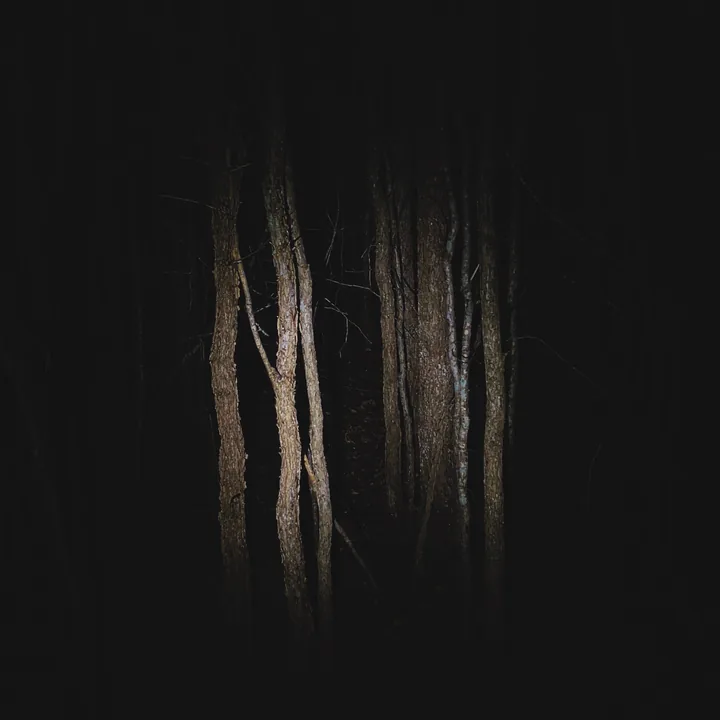 Bend (Wisconsin) cover artwork