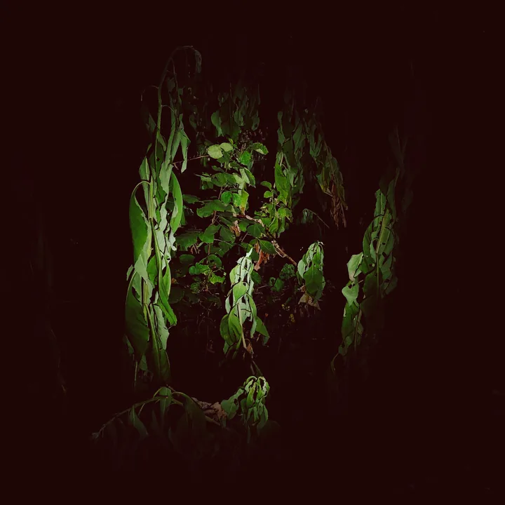 Big Falls cover artwork