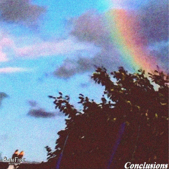 Conclusions cover artwork