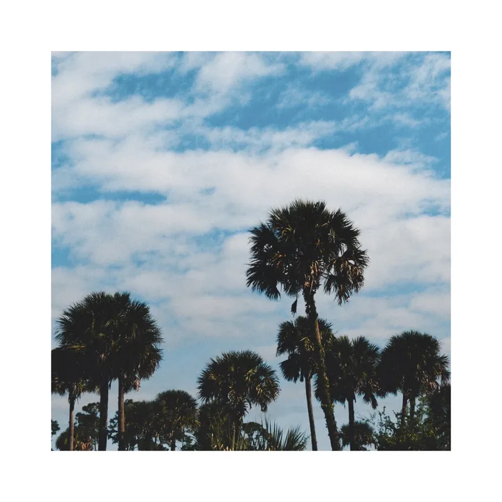 Lola cover artwork