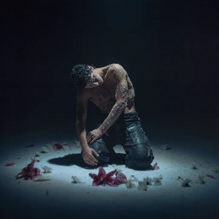 Won't Fight cover artwork