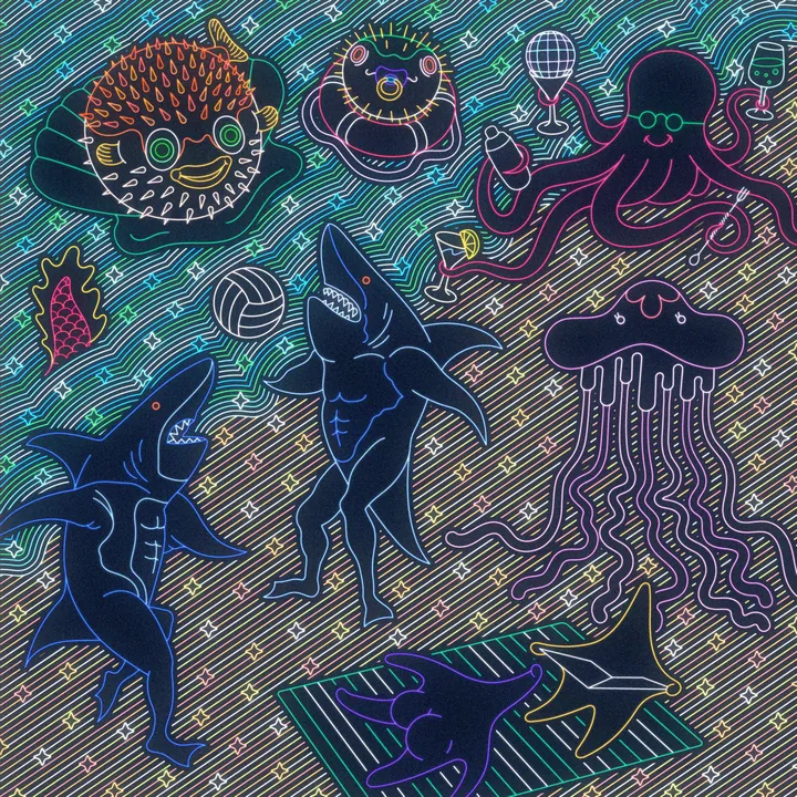 Starlight Delight cover artwork