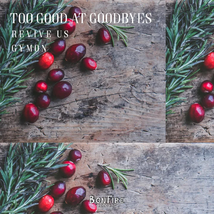 Too Good at Goodbyes cover artwork