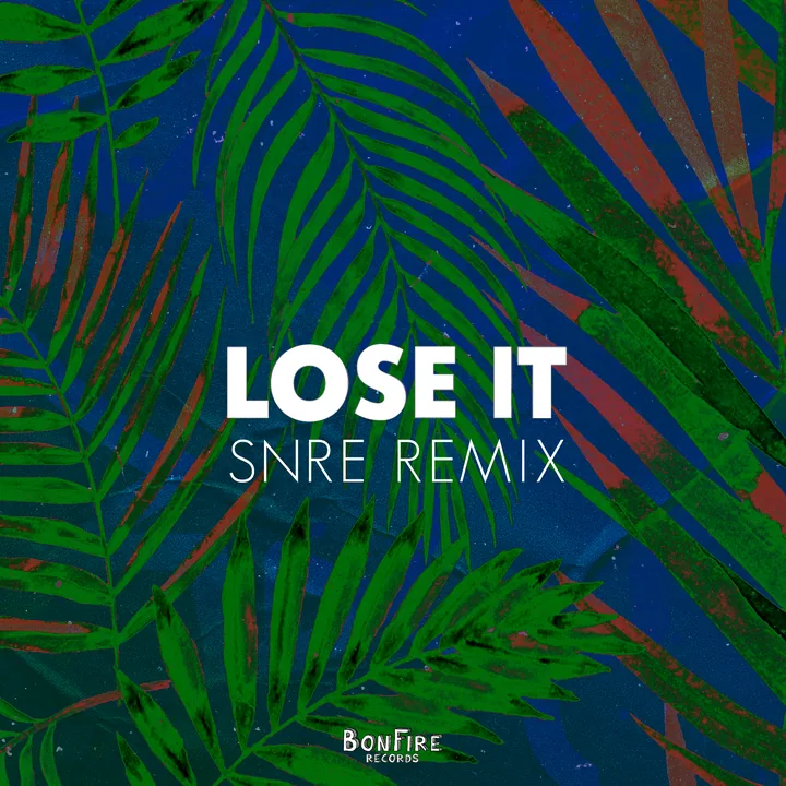 Lose It - Remix cover artwork