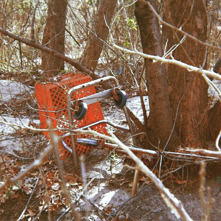 The Ravine cover artwork