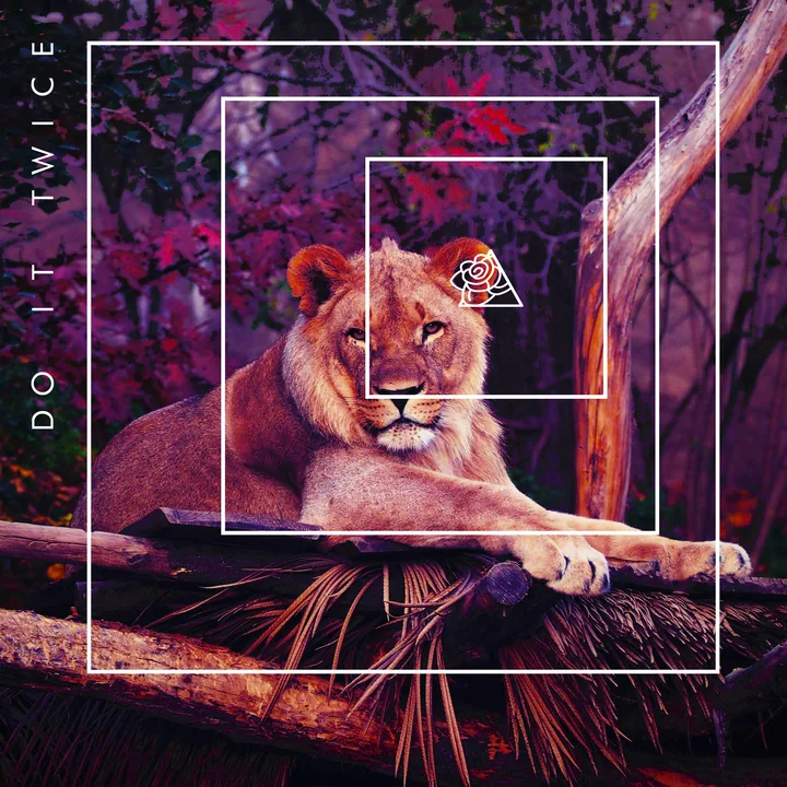 Do It Twice cover artwork
