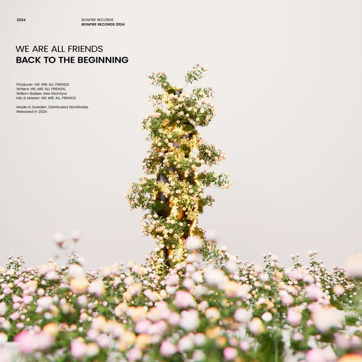 BACK TO THE BEGINNING cover artwork